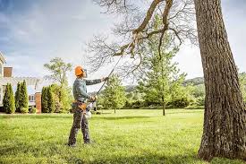 Best Hazardous Tree Removal  in Healdsburg, CA